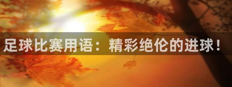 足球比赛用语:精彩绝伦的进球!