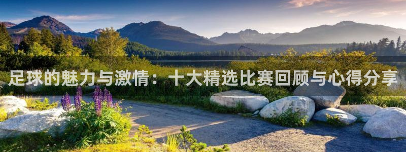 足球的魅力与激情:十大精选比赛回顾与心得分享