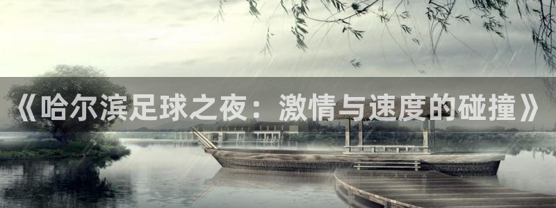《哈尔滨足球之夜:激情与速度的碰撞》