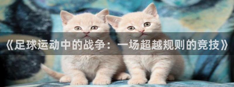 《足球运动中的战争:一场超越规则的竞技》