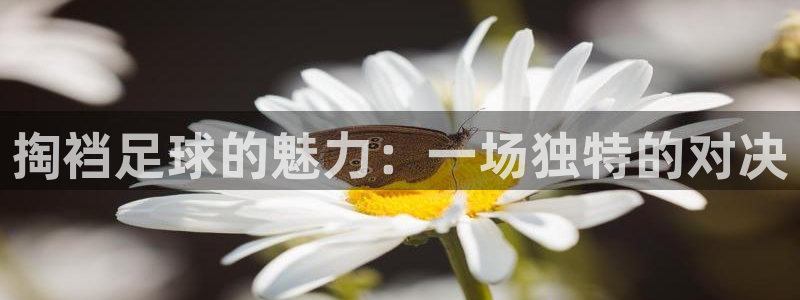 掏裆足球的魅力:一场独特的对决