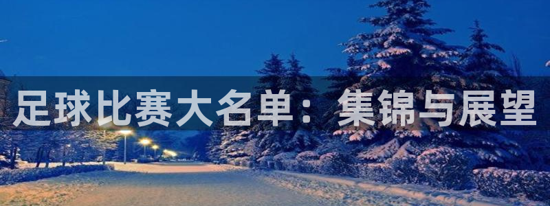 足球比赛大名单:集锦与展望